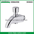 OEM&ODM Quality Polishing Brass Forged Faucet (AV2053)